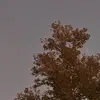 Cameron Fitzpatrick - @cameronjfitz - TikTok