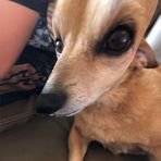Cameron Flaherty - Facebook