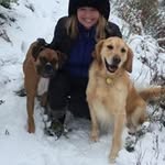 Cynthia Flaherty Cameron - @flahertycameron - Instagram