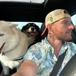 Cameron Flanagan - @camron_flanagan - Instagram