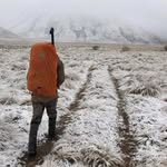 Cam Stephens - @flattcameron - Instagram