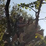 cameron flick - @that_tree_dued - Instagram
