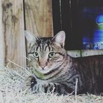 cameron flower - @cameron_flower24 - Instagram
