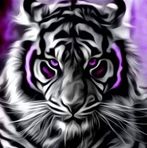 Cam Foley - Facebook