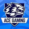 AceGaming - @cameronfort3552 - TikTok