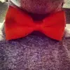 Cameron Fortenberry - @cameronfortenberr - TikTok