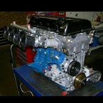 cameronfortune - @cameronfortune1738 - Instagram