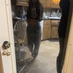Cameron franklin - @c.franklin61 - Instagram