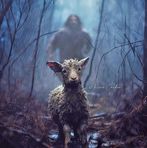 Cameron Friedman - Facebook