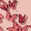 CameronFriedmanVWR6xr - @cameronfriedmanvw - TikTok