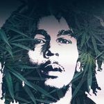 cameron scott funk - @cameronscottfunk - Instagram
