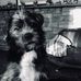 Cameron Gardipee - Facebook