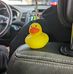 Cameron Gardipee - Facebook