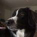 Gerald Cameron - Facebook