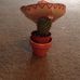 Cameron Gibb - Facebook