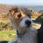 Cameron Gilson - @camerongilson549 - Instagram