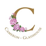 Cameron Glasshouse - @cameronglasshouse - Instagram