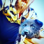 Cameron Goins - @cam_cam_0815 - Instagram