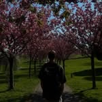 Cameron Goodall - @thelaughing1997 - Instagram