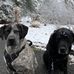 Cameron Gott - Facebook