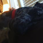 Cameron Gragg - @cameron_gragg - Instagram