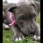 Cameron Greeley - Facebook