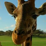 Cameron Greeley - @cameron__greeley - Instagram