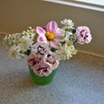 Bridget Cameron Greenberg - @bc_greenberg - Instagram
