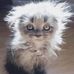 Cameron Greenberg - Facebook