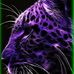 Kamryn Grider - Facebook