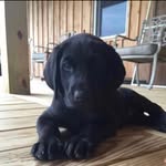 Cameron Griffin - @camerongriffin21 - Instagram