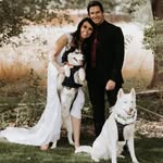 Cameron Groom - @liftandletdie - Instagram