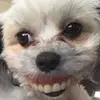 Cameron Gruber - @user697434591 - TikTok