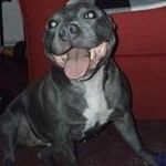 Cameron Gunn - @cameron.gunn.161 - Instagram