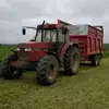 CameronGunn - @camerongunn110 - TikTok