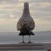 Cameron James Guthrie - Facebook