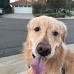 Cameron Gutierrez - @cam_gootz - Instagram
