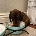 Cameron Guzman - Facebook
