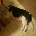 Cameron Hager - @irishpotatos_34 - Instagram