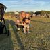 Cameron Halpin - Facebook