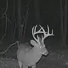 Cameron Ham - @cameron.ham2 - TikTok