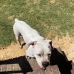 Cameron Hammonds - Facebook