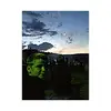 Cameron Harbaugh - @cam.harbs9 - TikTok