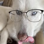 Cameron Harkness - Facebook
