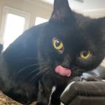 Cameron Hartman - @camer0n_hartman - Instagram