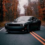 Cameron Hartman - @hartman_lifts - Instagram