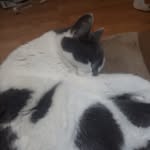 Cameron Hebert - @cameron.hebert.10 - Instagram
