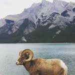 Cameron Henry - @cameron_h4 - Instagram
