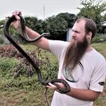 Cameron Hodges - @kingbeard_cam - Instagram