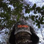 Cameron Holder - Facebook